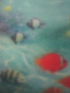 �R�c